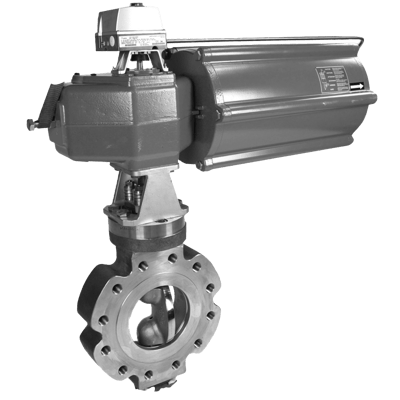 Metso Neles Butterfly Valve, BWX Series