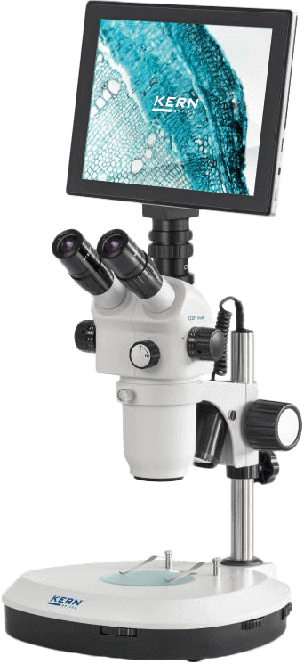 img-ozp-558-A.png