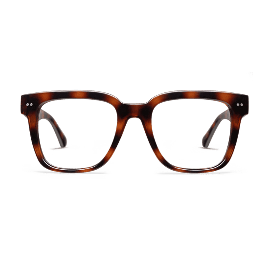laurel-laurel-readers-shiny-tortoise-001-750x.png
