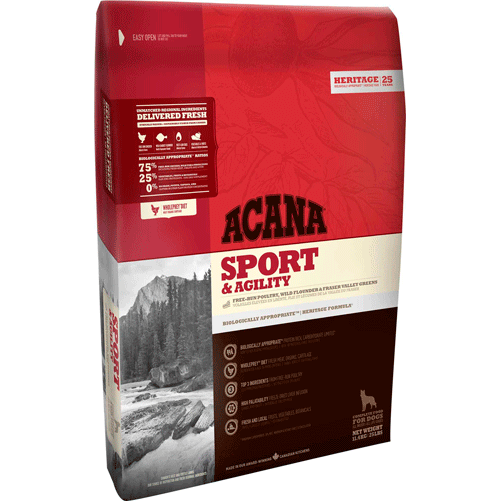 For highly active dogs