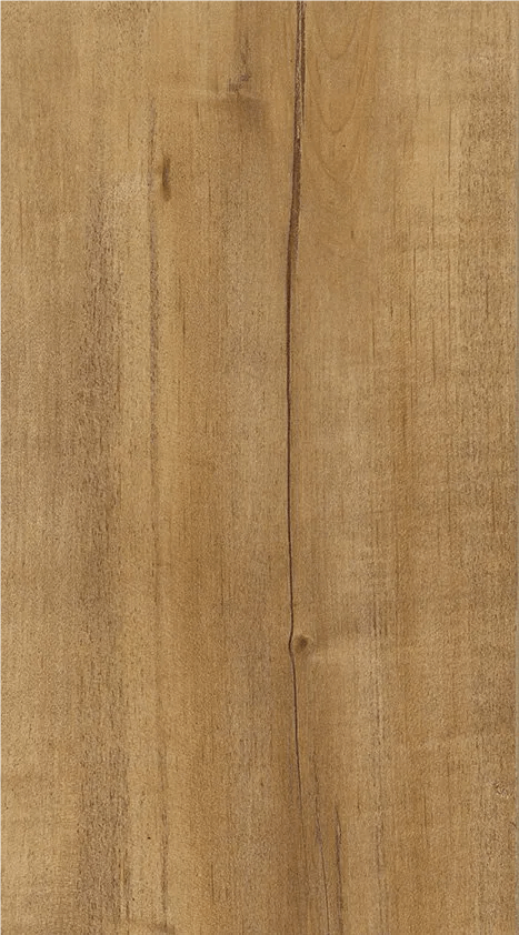 Northern-Boreal-Brisk-Maple-Erable-Frais-1920w.png