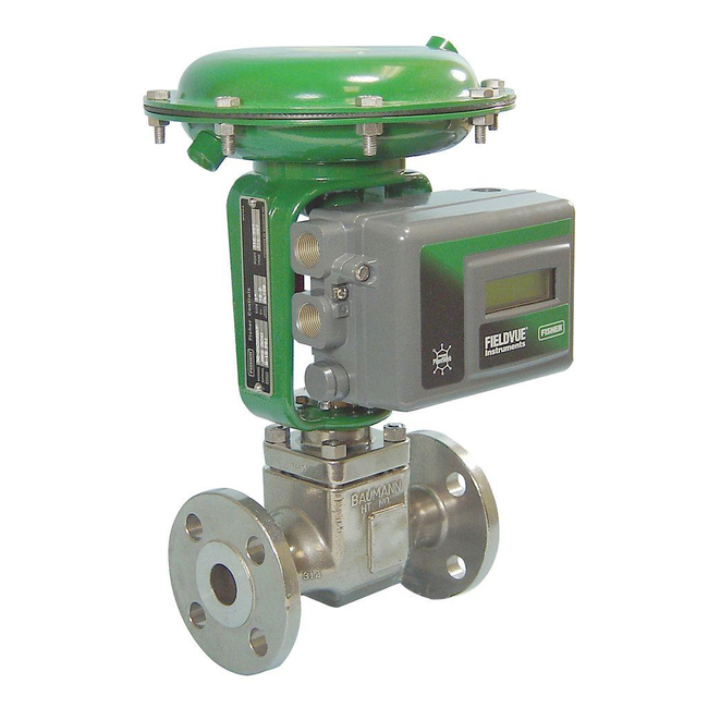 Baumann Carbon and Stainless Steel Flanged Control Valve, 24000CVF/24000SVF