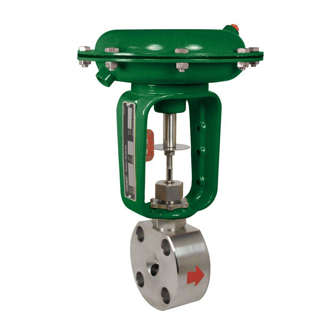 Baumann Wafer Body Control Valve, 24000F