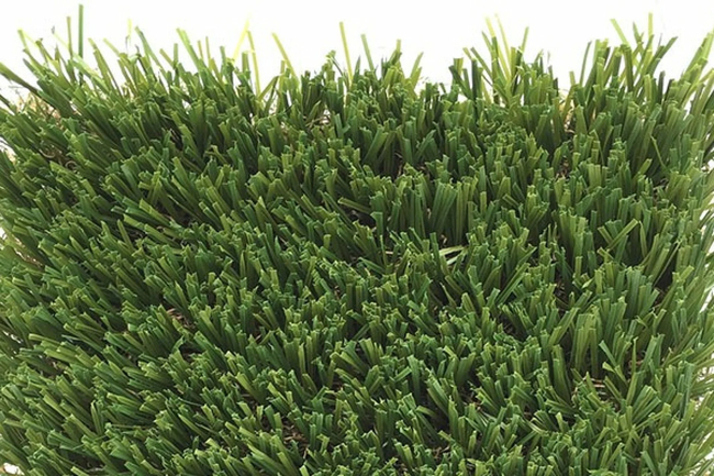 766x400-new-bella-turf-canada-photos-spring-2019-artificial-turf-_0013_coastal-pro-1920x1280-optimized.webp