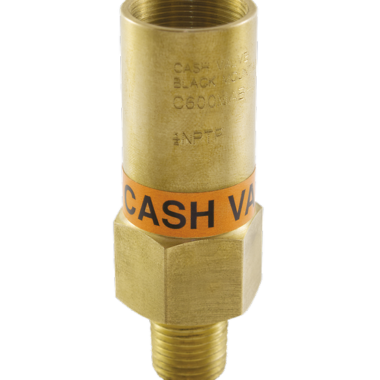 Emerson - Cash Valve Cryogenic Relief Valve, Model C600