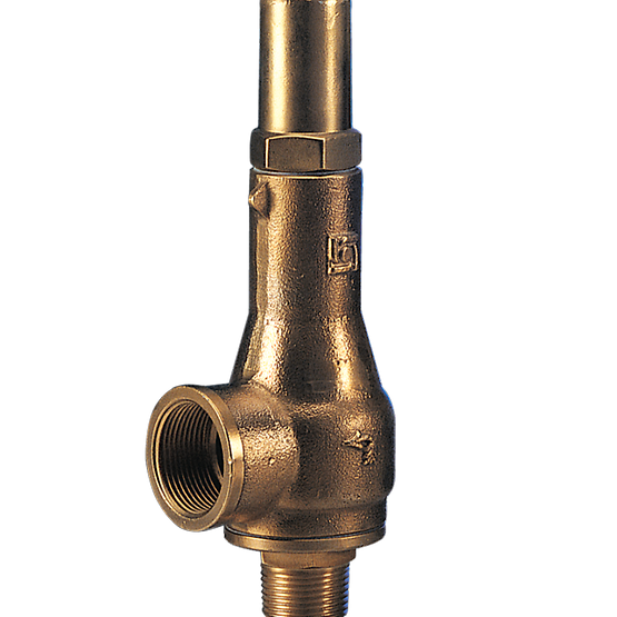 Emerson - Cash Valve Safety Valve, Type C-776