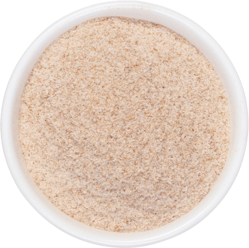 Psyllium.png
