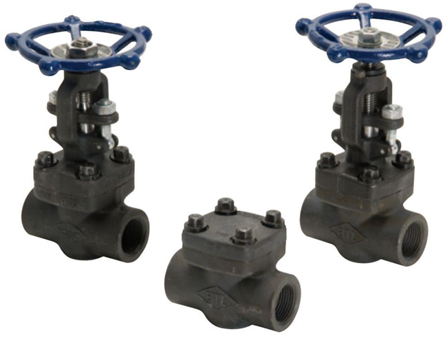 500631_Hancock_Forged_Steel_ASME_800_1500_image-1.png