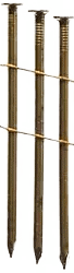 FANC3131 - PP_JPG.png