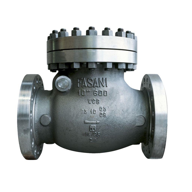 Emerson Check Valve