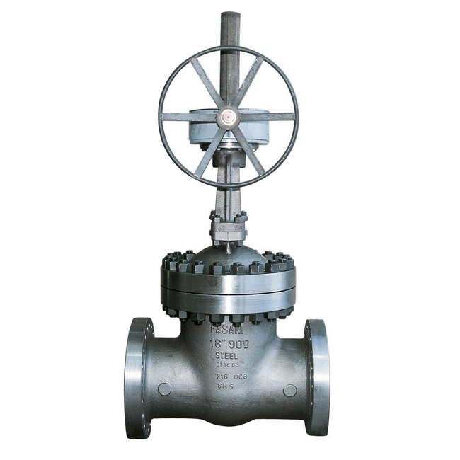 Emerson Fasani Bolted Bonnet Gate Valve