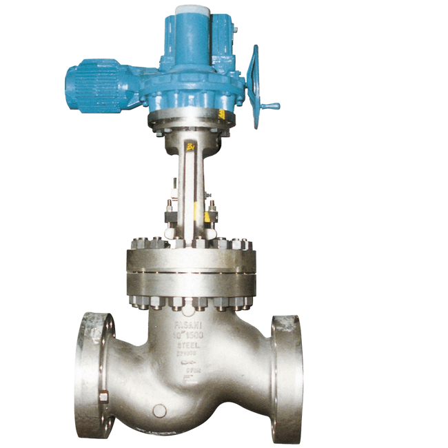Emerson Check Valve, LP/MP