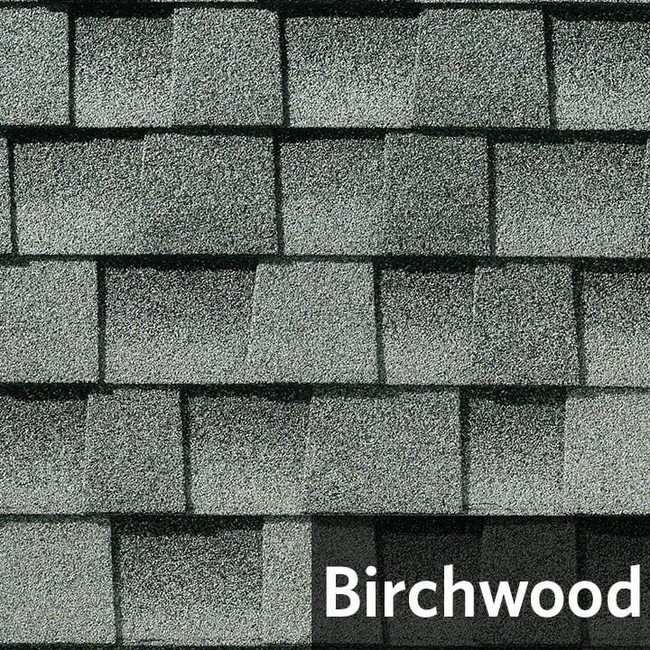 Birchowod.jpg