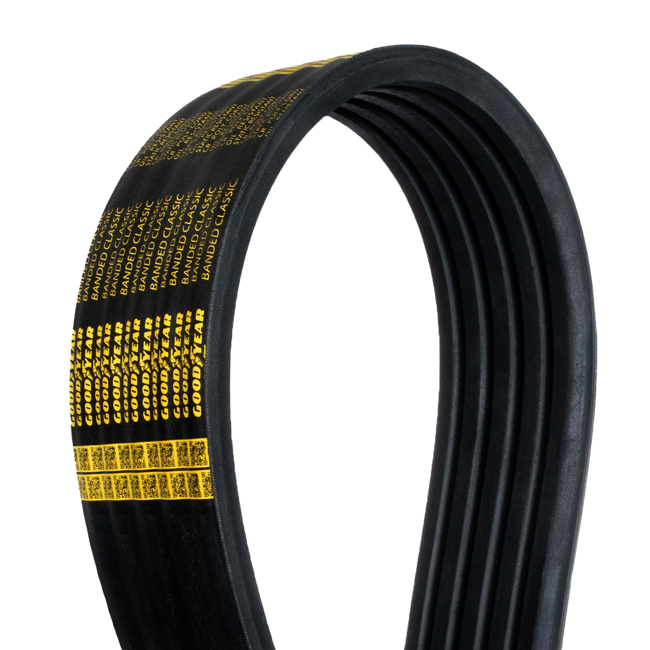 large_b-s-close-up-belt-backside_with_text.png