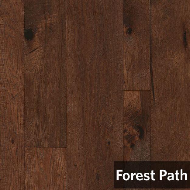 ForestPath.jpg