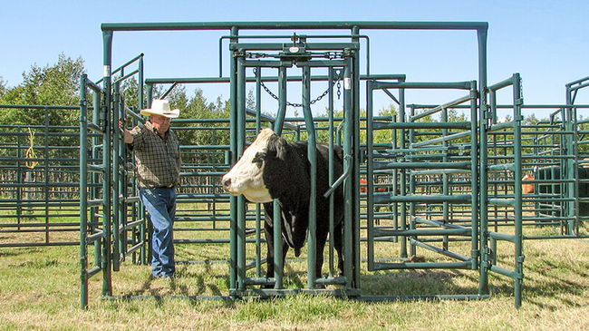 Calving-Enclosure-03.jpg