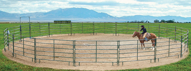 Hi-Hog-Parkland-Horse-Round-Pen.jpg