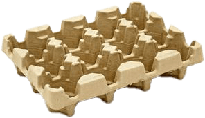 12packbase-2.png