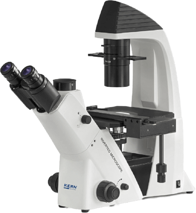 img-ocm-161-A.png