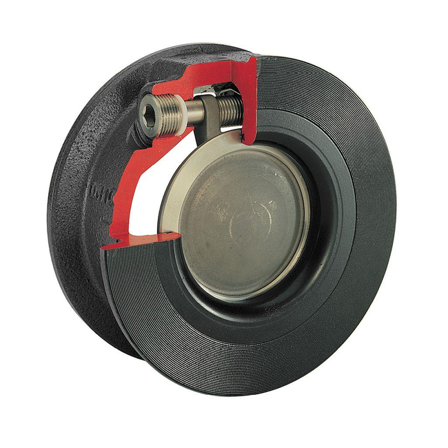 Keystone Swing Type Check Valve, F86