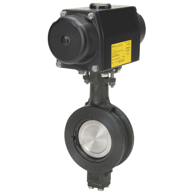 Keystone Figure High Performance Butterfly Valve, 310/312