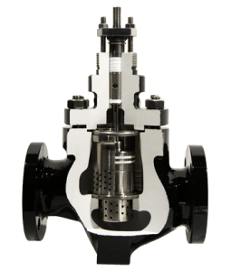 G1101-255x300.png