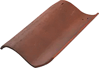 OnePieceS_SpecPhoto.png