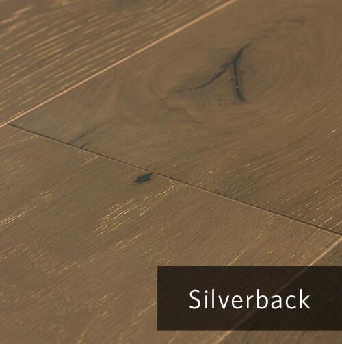 Silverback.jpg