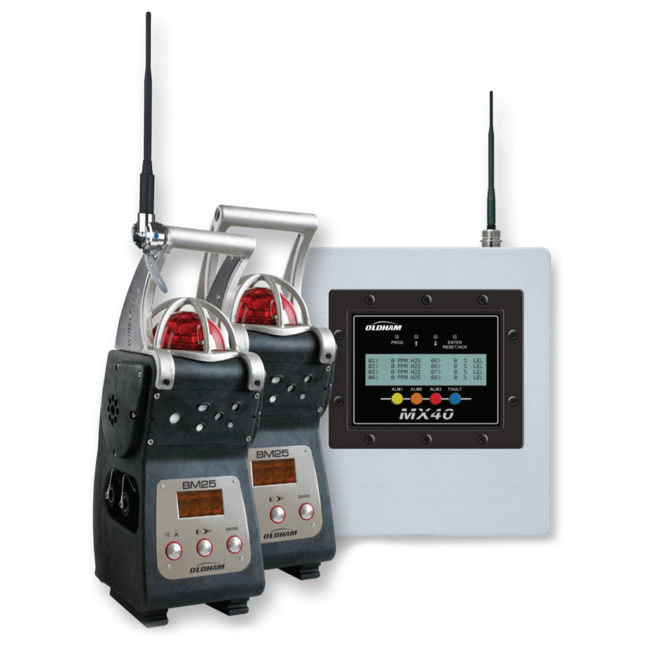 Oldham Transportable Gas Detection, BM 25 & BM 25 Wireless