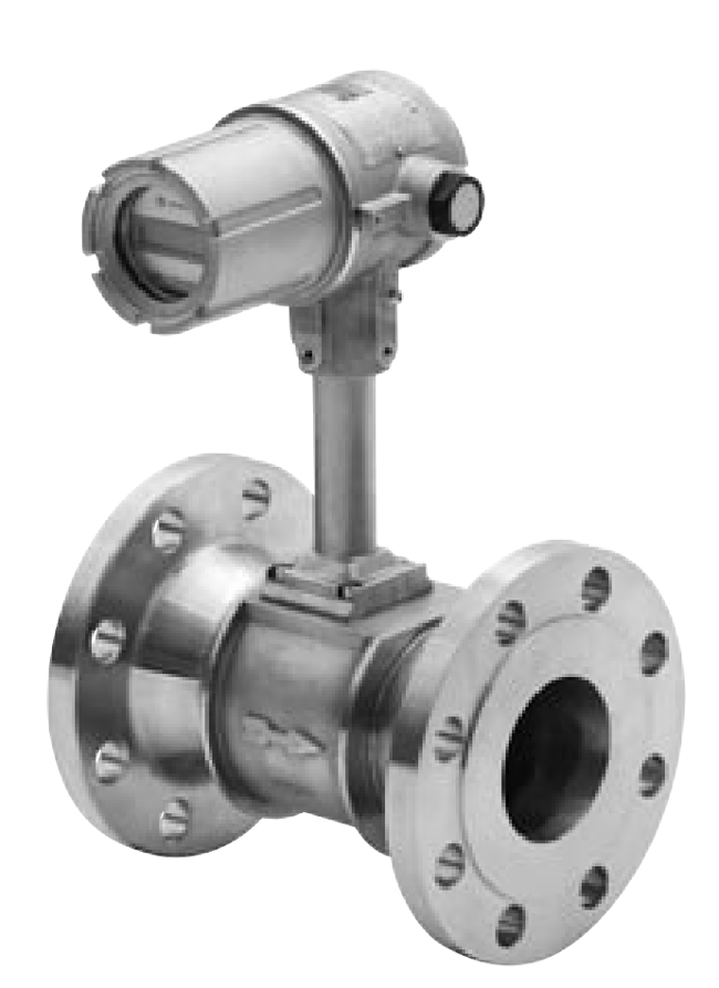Fixed Sensor Flanged type (weld neck flange).png