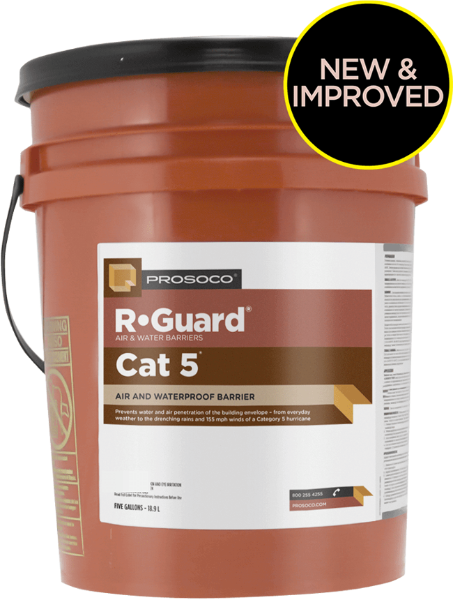 Cat-5-5-Gal-NandI.png