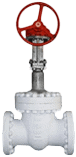 PRO_Cryo-Gate-1.png