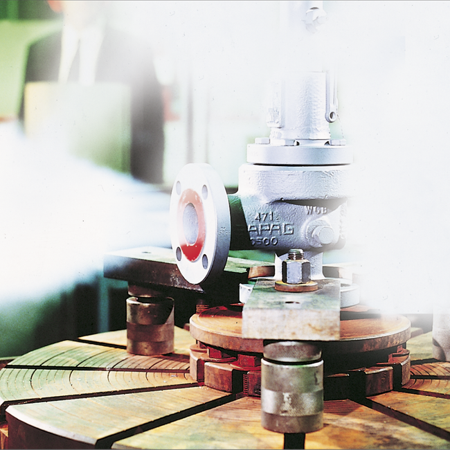 Emerson Sapag Safety Relief Valve, 8100/8200 Series