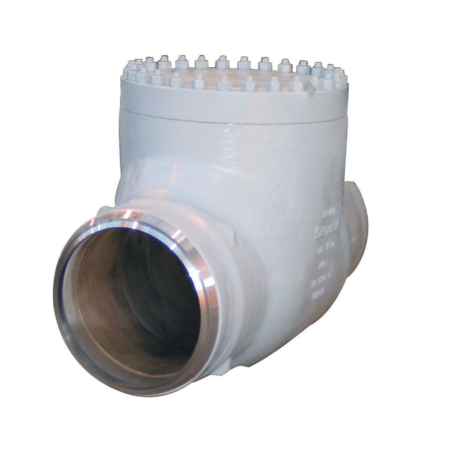 Emerson Sempell Check Valve, Model 801