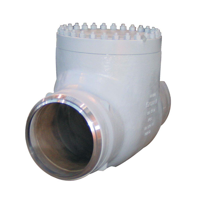Emerson Sempell Check Valve, Model 801