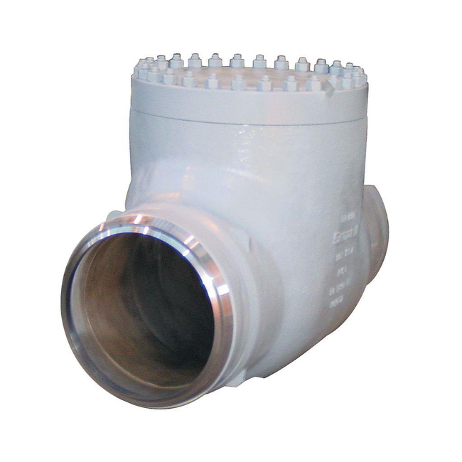 Emerson Sempell Check Valve, Model 803