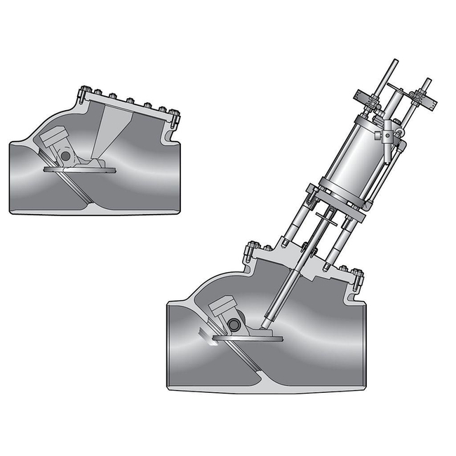 Emerson Sempell Check Valve, Model B21/B51