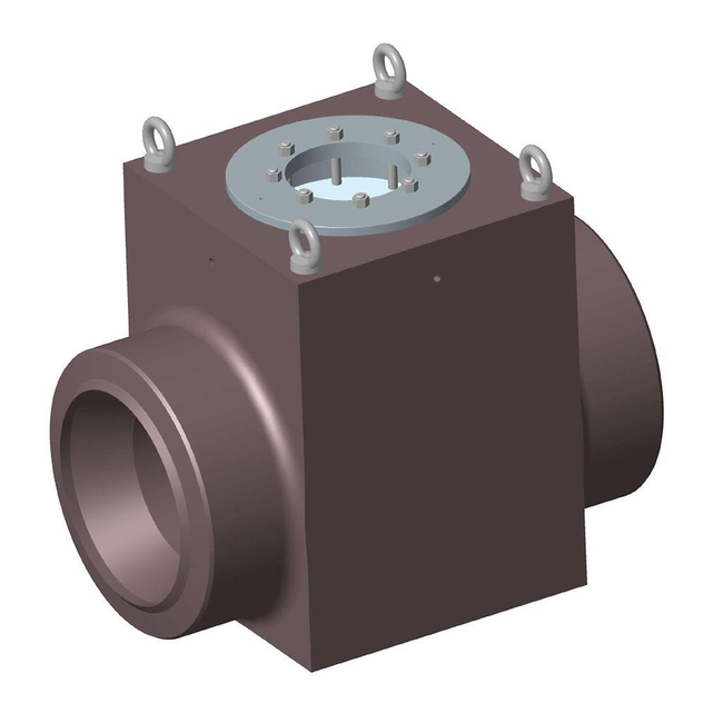 Emerson Sempell Check Valve