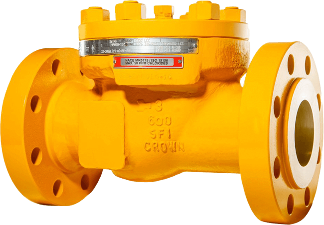 _MG_8892_Swing_check_valves_class_600_RF_K.max-1200x2000.png