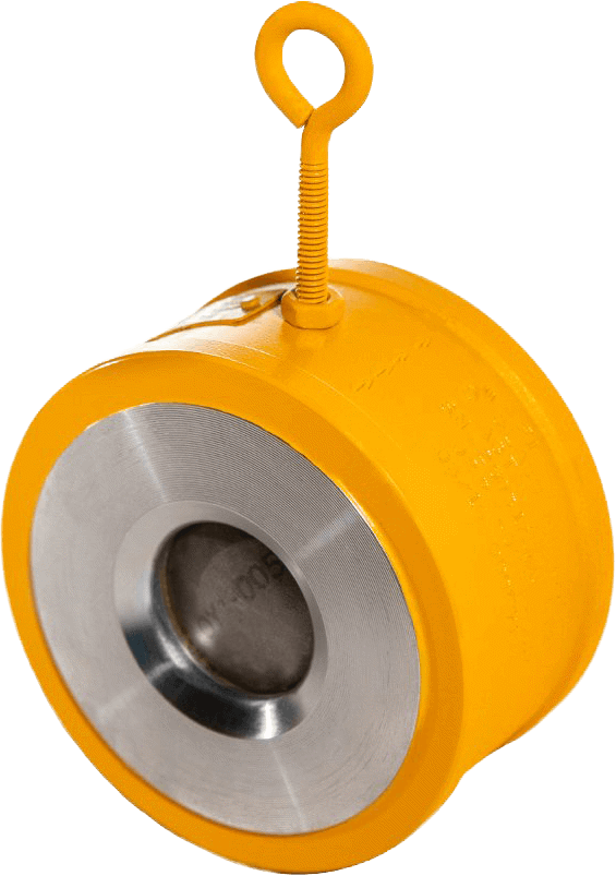 _MG_8544_Nozzle_wafer_check_valves_Larger_.max-1200x2000.png