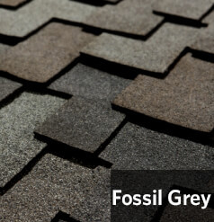 FossilGrey1.jpg