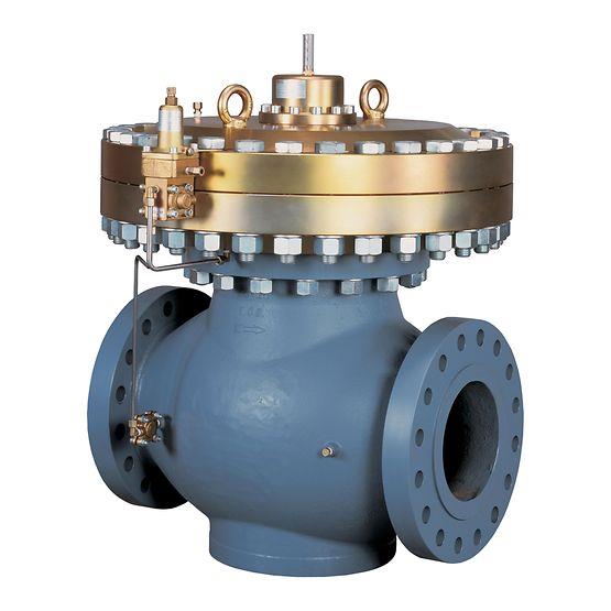 Emerson Tartarini Regulator, Type 971