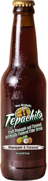 tepachito-coconut-pack-of-6-17.png