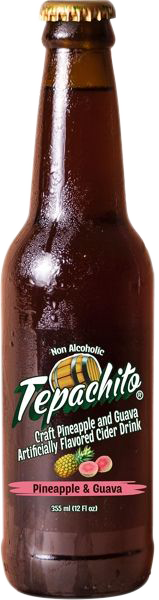 tepachito-guava-pack-of-6-18.png
