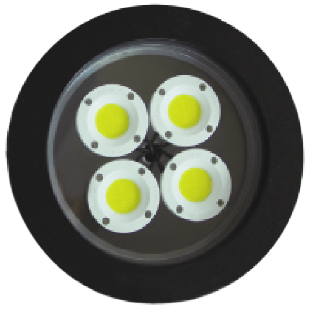 L1102 High Humidity & Heat Resistant LED Lighting2.png