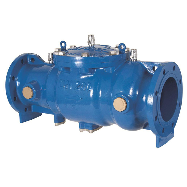 Emerson ValvCheQ Backflow Preventer, DC03