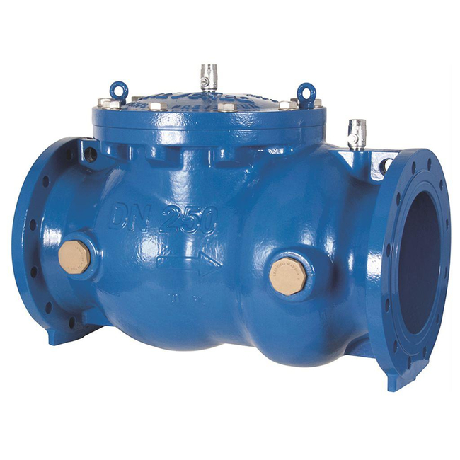 Emerson ValvCheQ Backflow Preventer, SC03