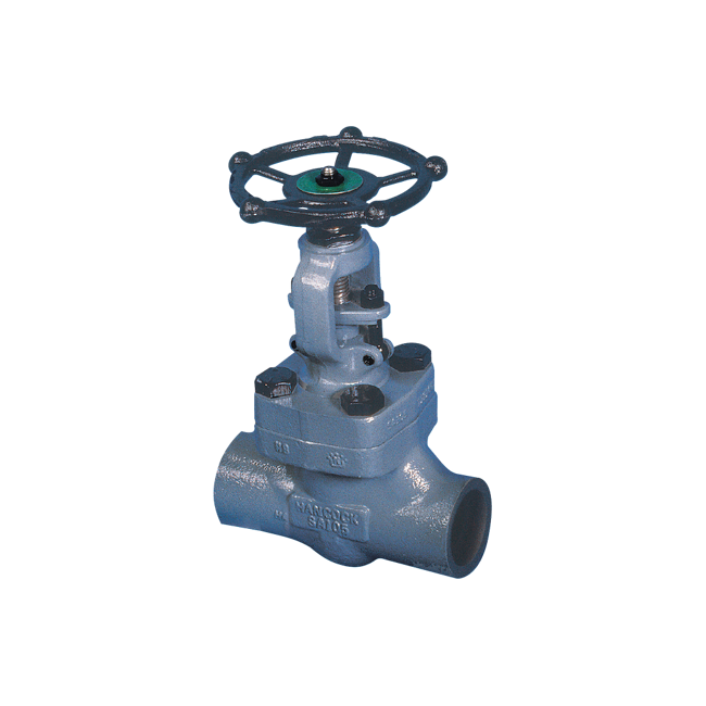 Yarway Globe Valve, Series 5500