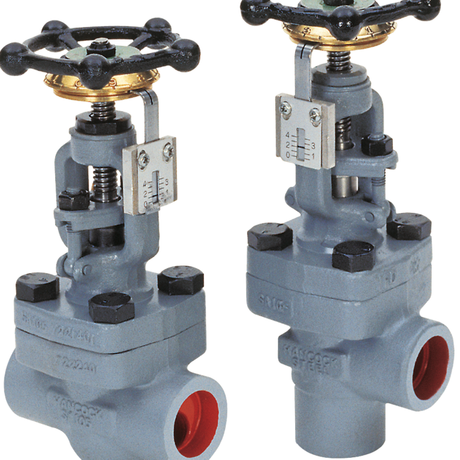 Emerson Yarway Globe Valve, 5525/5535 Series