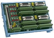 303779_ADAM_3956_IMAGE-1.png